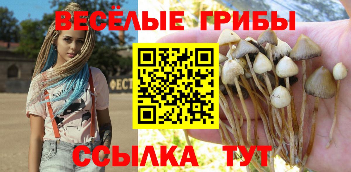 Псилоцибиновые грибы MAGIC MUSHROOMS  Вход с VPN  Осинники 